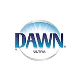 Dawn
